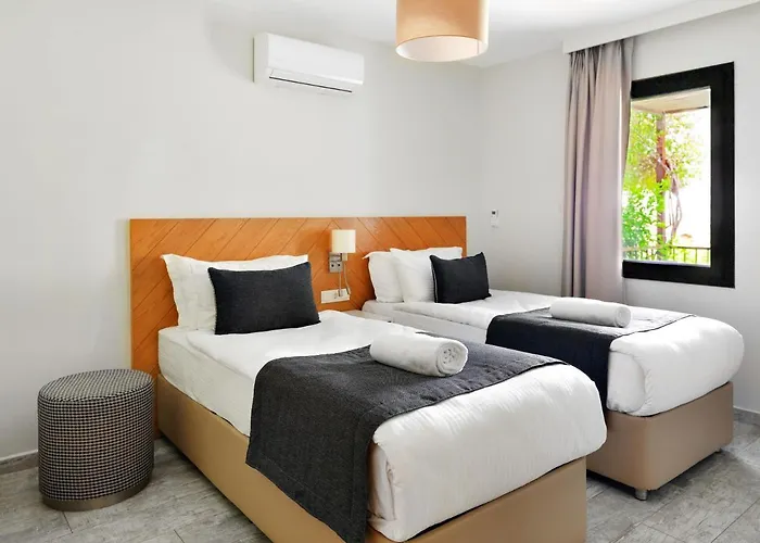 Apartament typu executive